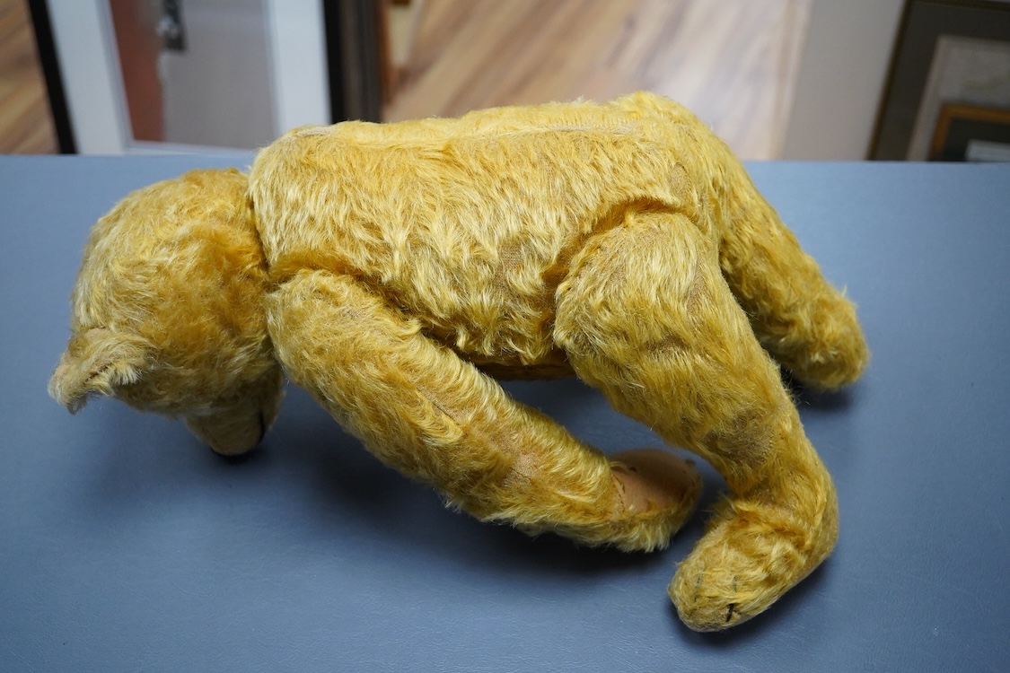 A Steiff cinnamon plush Teddy bear, stitched snout and glass eyes, jointed limbs, button in ear, circa 1910, 43cm